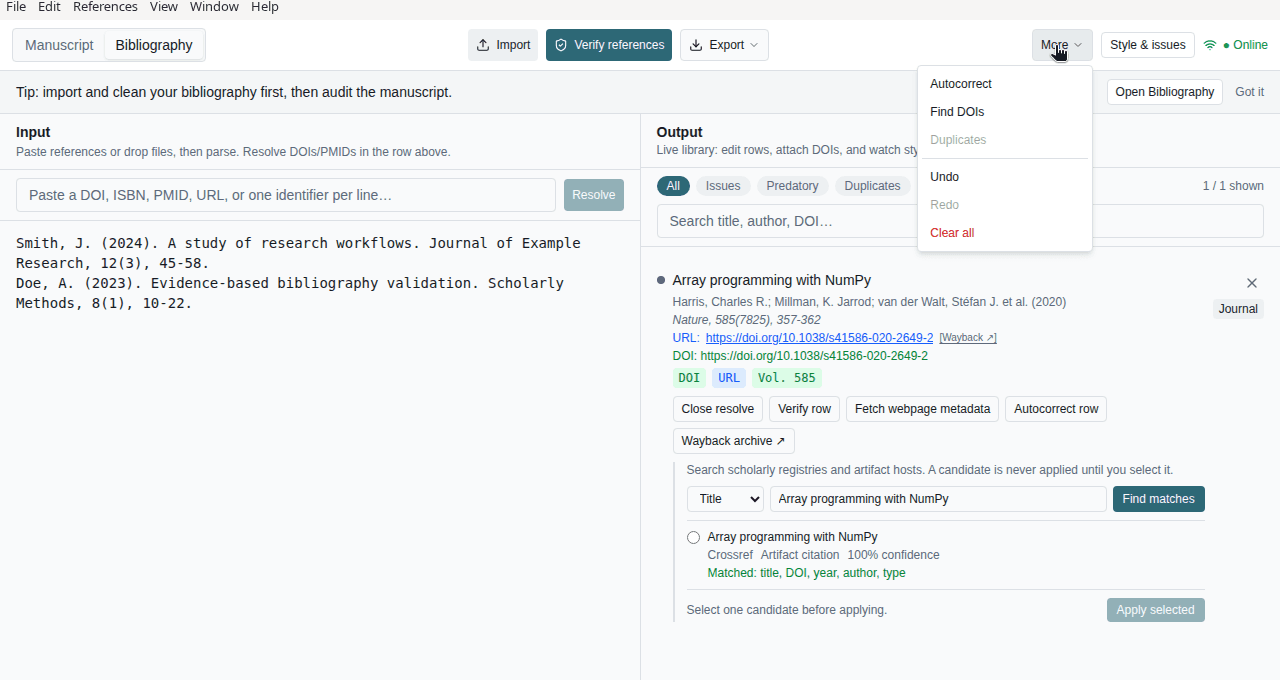 More menu with Autocorrect, Find DOIs, Duplicates, Undo, Redo, and Clear all